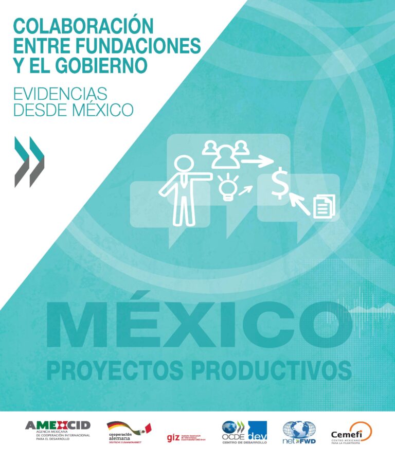 Colaboración entre fundaciones y el gobierno